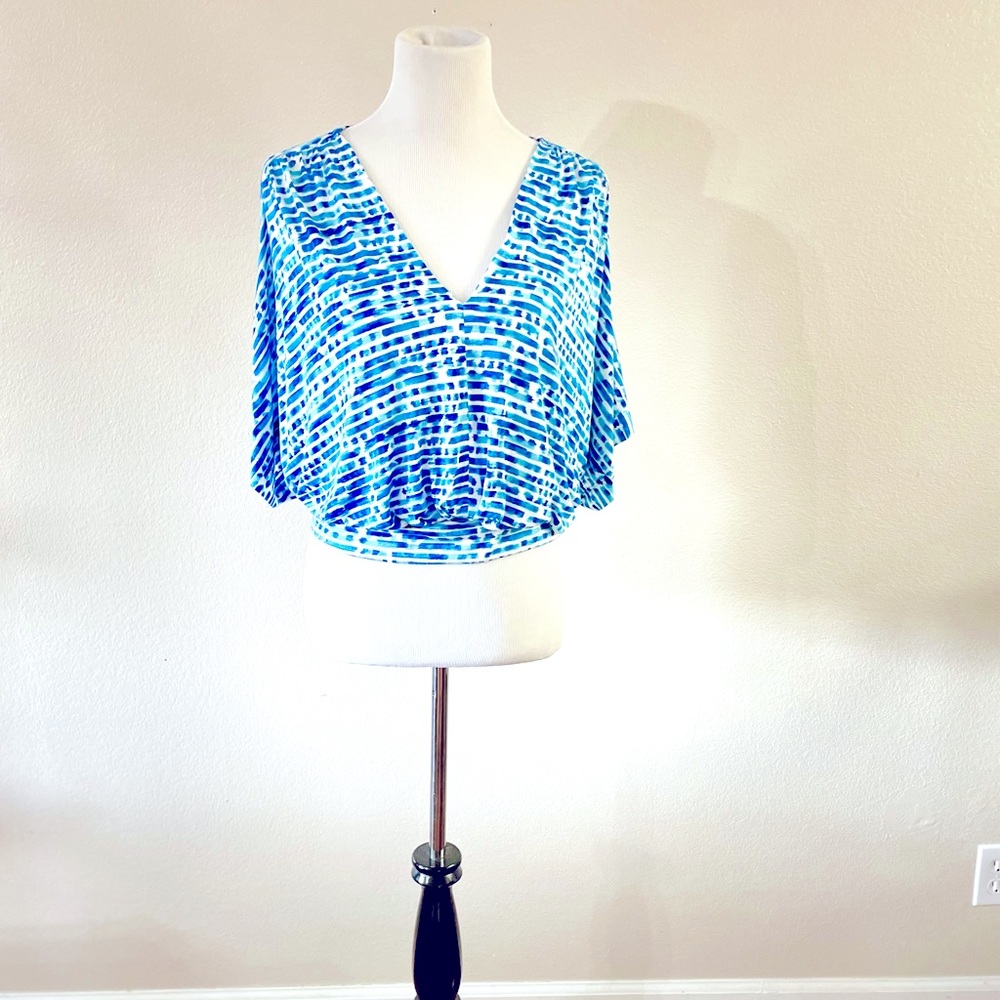 Pleione Deep V-Neck Blouse with Dolman Sleeves